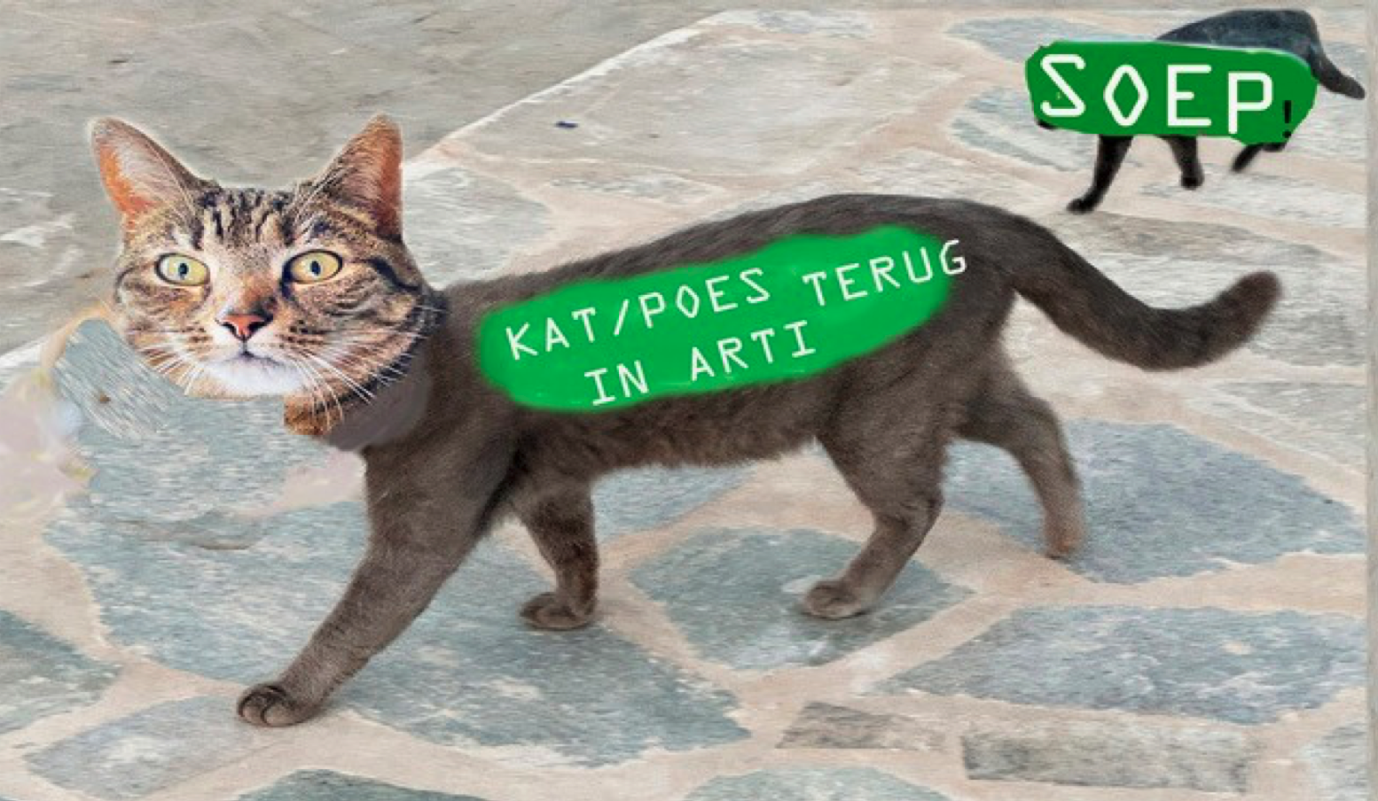 Beeld en Taal deel 3 DE KAT/POES TERUG IN ARTI